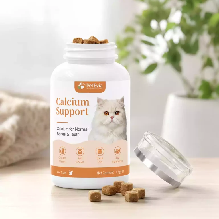 Zachte kauwsnoepjes als calciumsupplement voor katten