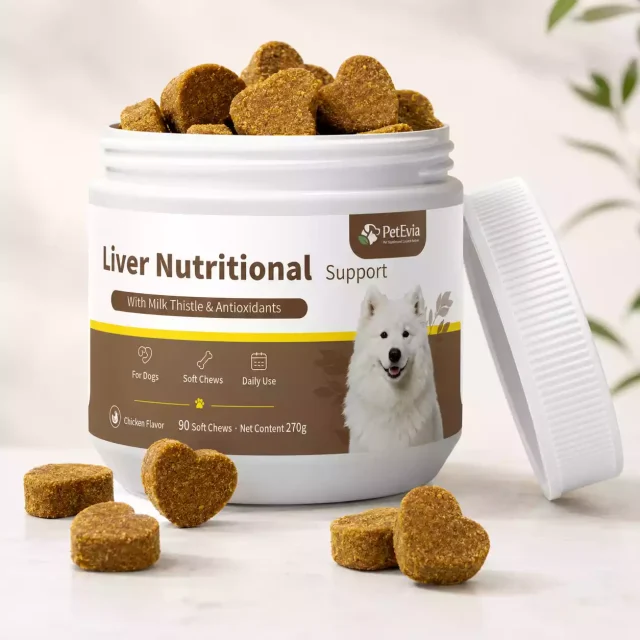 bouchées moelleuses pour le soutien hépatique du chien