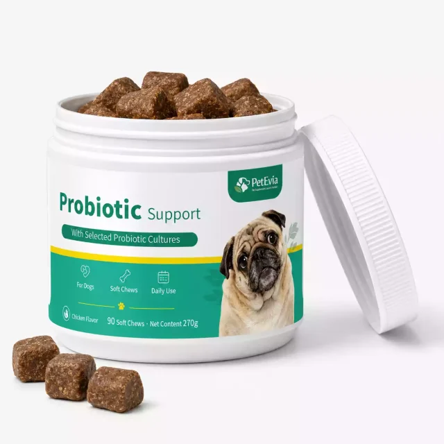 bouchées moelleuses probiotiques pour chien à vendre